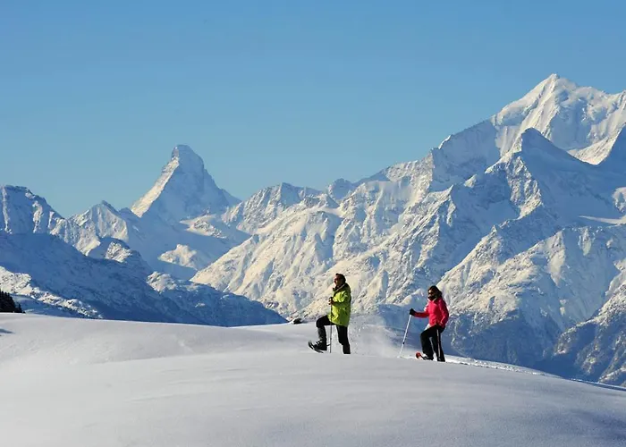 Castle Lejlighed Goms